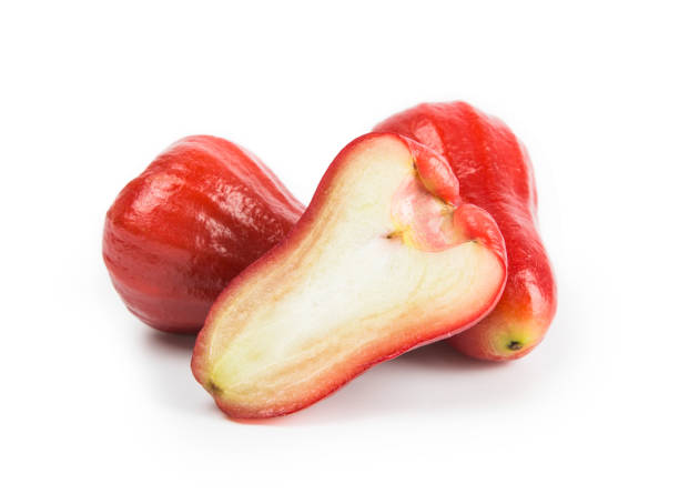 istock close-up view of fresh wax apple isolated on white background. 681632148