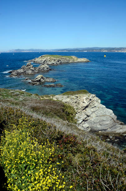 istock Embiez island landscape, France 681636582