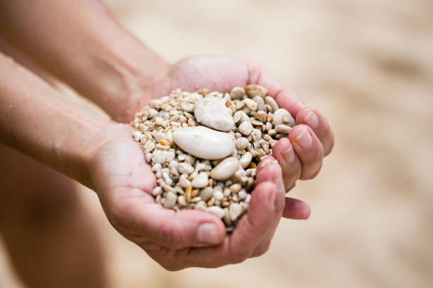 istock Woman palms holding pebble 681640088