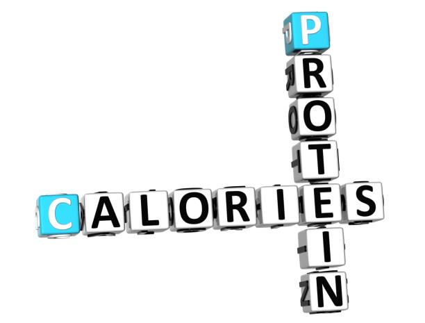 istock 3D Protein Calories Crossword 681640170