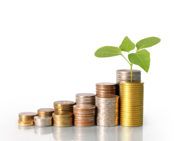 istock Investment concept, Coins graph stock 681649662