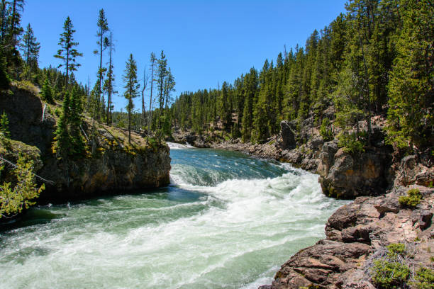 istock Yellowstone River in the National Park, Wyoming 681649700