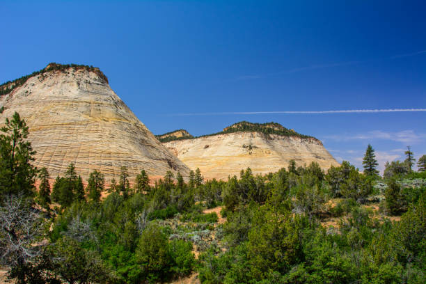 istock Checkerboard Mesa in Zion National Park, Utah 681649702
