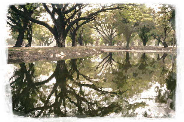 Green woodland reflections in the still water of a calm river in summer