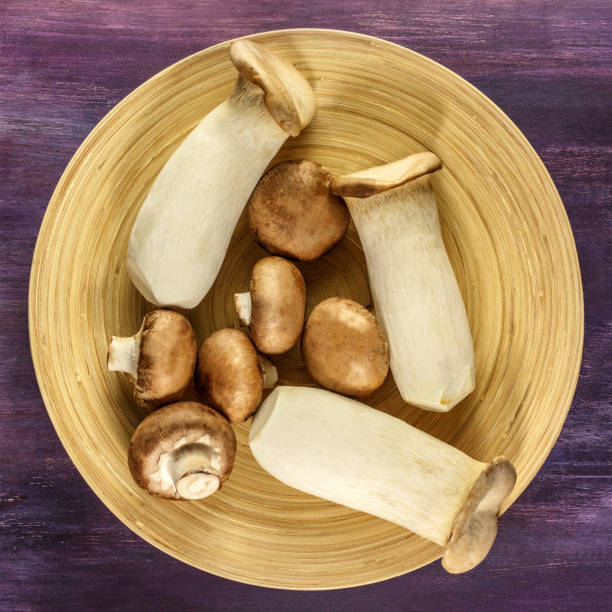 Overhead photo of edible Mediterranean mushrooms