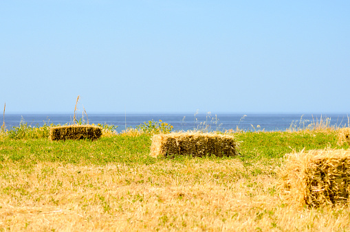 Straw bales in a field facing the sea in the south of Crete