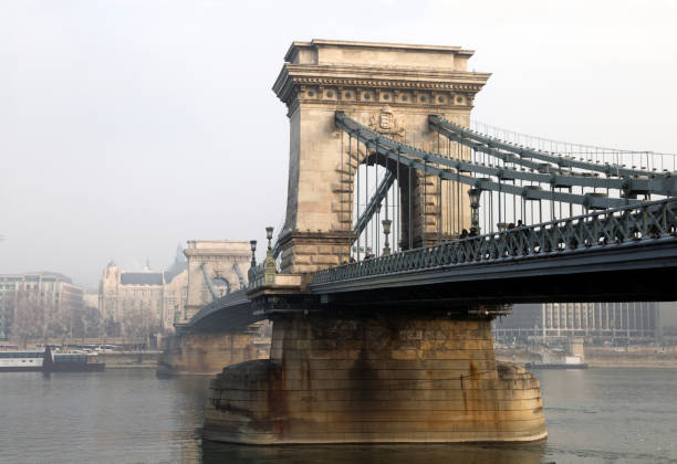 chain bridge in budapest - chain bridge budapest bridge lion imagens e fotografias de stock