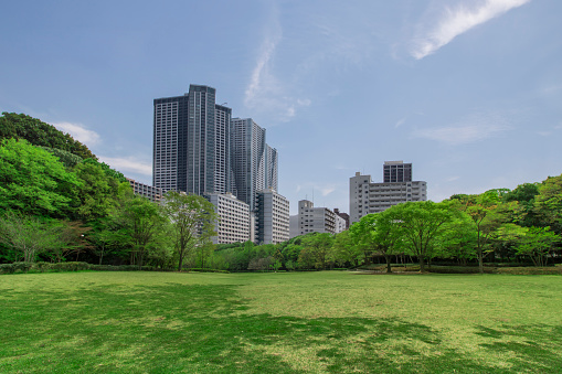 modern city viewed form a park, composite photograph of fictional city
