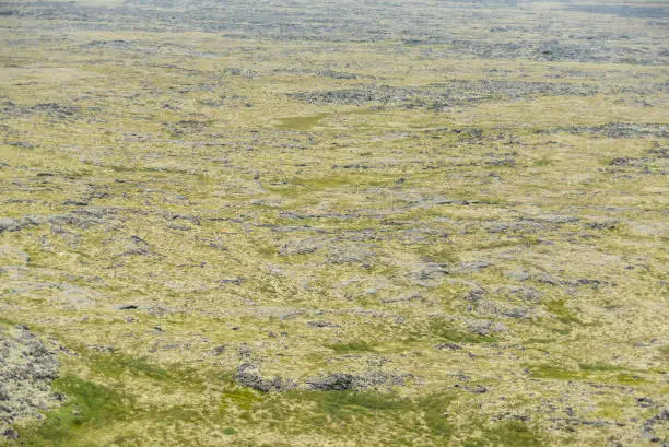 Iceland country lava field