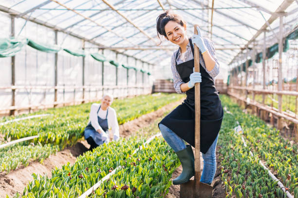 istock Happy to work on the field 681713346