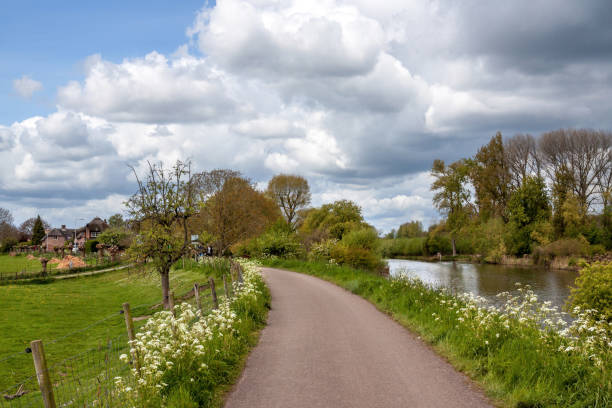 istock Rural road on a river dyke in spring 681721972