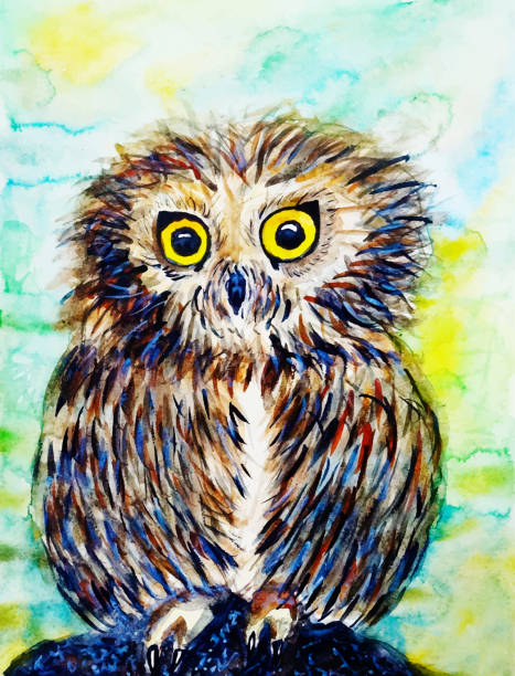 Owl Vector Stock Watercolor Owl Vector Stock Watercolor хищная птица stock illustrations