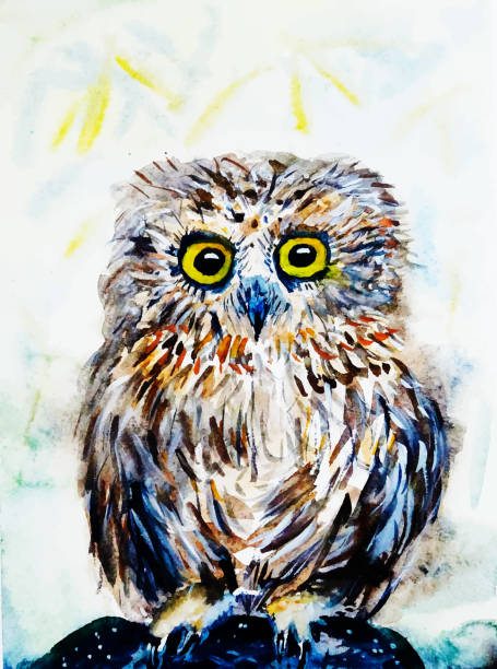 Owl Vector Stock Watercolor Owl Vector Stock Watercolor хищная птица stock illustrations