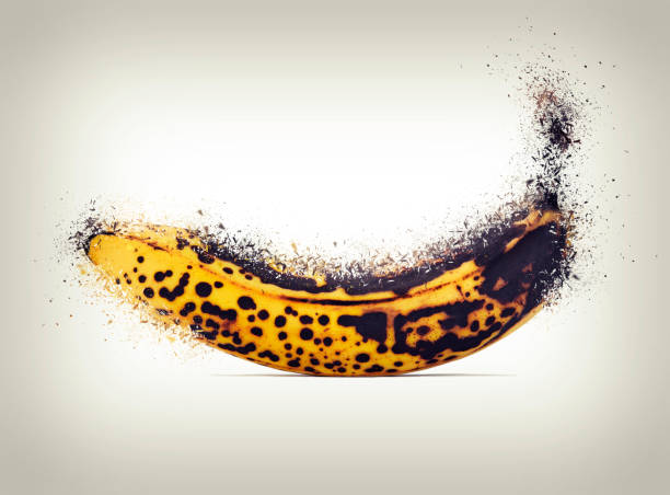 Exploding Bannan Exploding Banana Stock Photos, Pictures & Royalty-Free Images - iStock