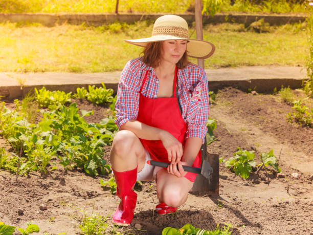 istock woman with gardening tool working in garden 681733944