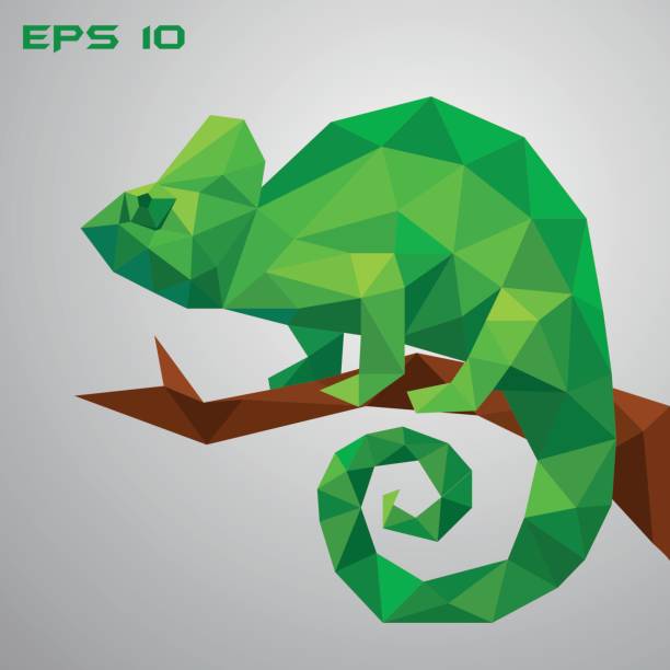A green chameleon is sitting on a branch and looking. A green chameleon is sitting on a branch and looking. Thoughtful and lazy wild life. Low poly reptile on a white background. Vector illustration. chameleon stock illustrations