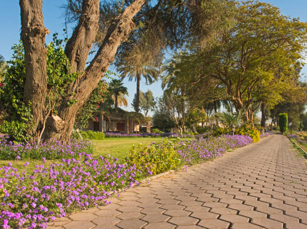 istock Stone path through tropical ornamental rural garden 681747460