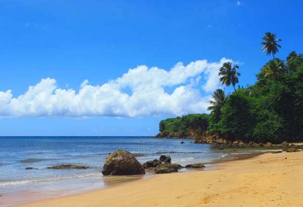 istock Beach of my beautiful island 681751472