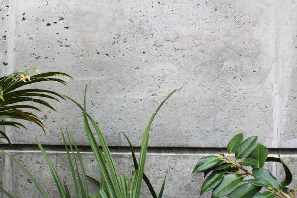 istock Concrete wall with bottom border of various leaf shapes 681751508