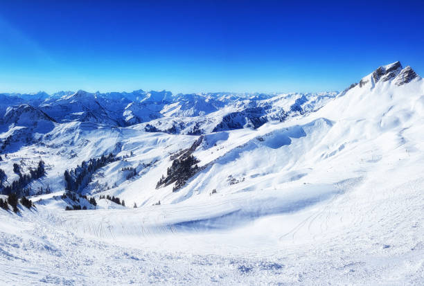 istock Panorama view of a snowy landscape 681767886