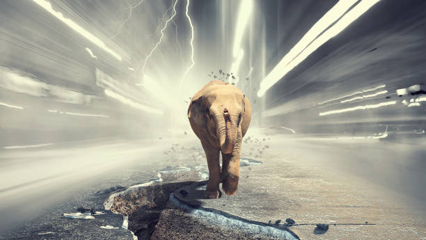 istock Massive elephant as symbol for transportation concept 681775386