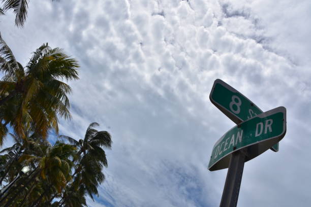 istock Street sign Miami Beach 681781134