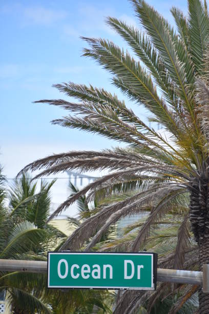 istock Street sign Miami Beach 681781300