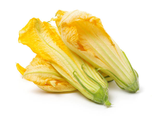 istock Yellow zucchini flower   on white background 681791534