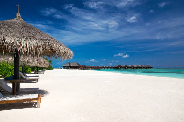 istock tropical beach in Maldives 681799936