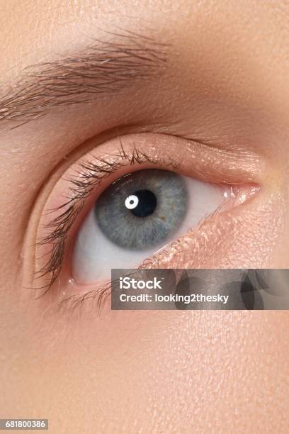 Eyelashes Adult Blue Eyelashes Adult Blue