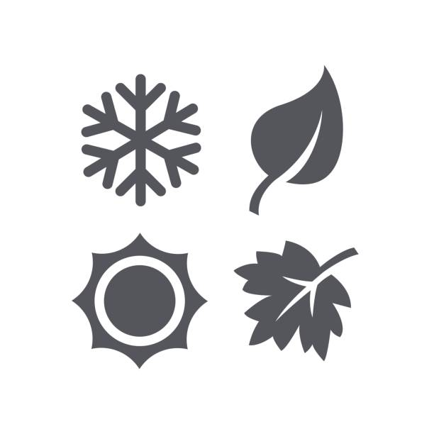 A set of four seasons icons. A set of four seasons icons. Winter, spring, summer and autumn. snowflake shape icons stock illustrations