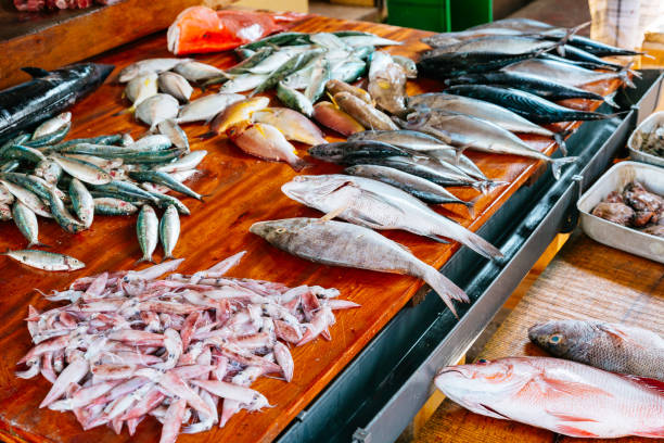 istock Fish market in Hikkaduwa 681816932