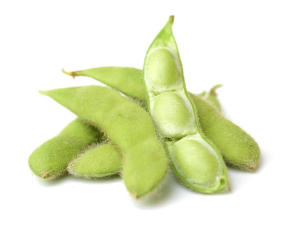 istock green soy beans, japanese beans on white background 681827034