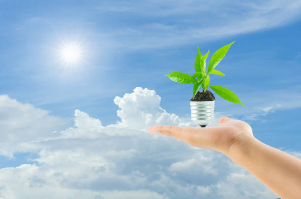 istock hands holding lamp light bulb new life plant 681828644