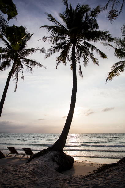 istock Sao beach at Phu Quoc in Vietnam 681839264