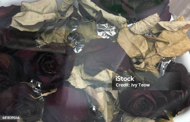 Dried Roses Stock Photo - Download Image Now - Bouquet, Brown, Bud
