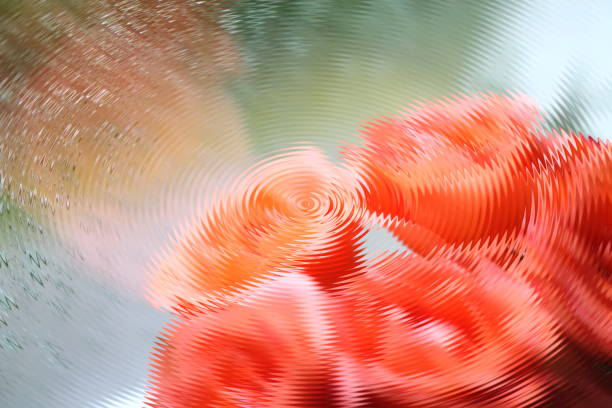 Wavy soft orange roses bunch. Distorted wavy picture soft orange roses bunch against window with water drops. Blurred abstract background. godspeed stock pictures, royalty-free photos & images