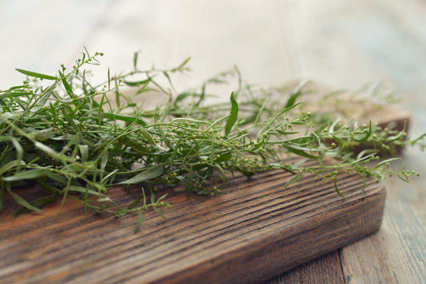 fresh tarragon - tarragon close up herb bunch imagens e fotografias de stock