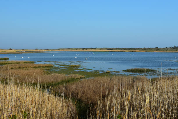 istock Shabla natural reserve 681868812