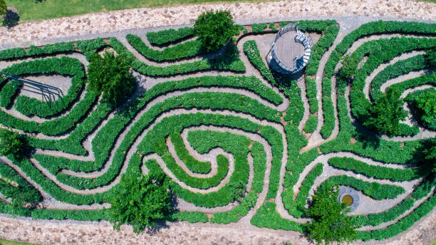 istock Aerial view of hedge maze 681873992