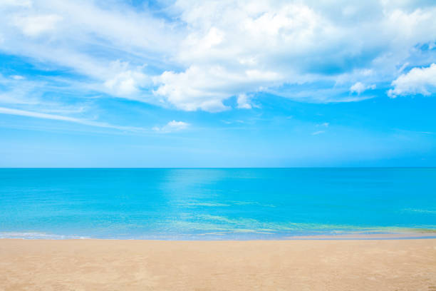 istock beautiful summer beach and tropical sea blue sky 681876288
