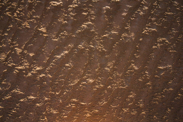 istock sand dunes of Liwa Desert 681877174