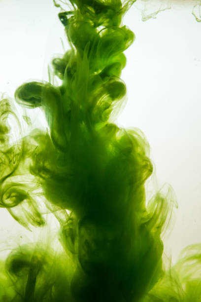 istock green ink in water isolated on white background 681882256