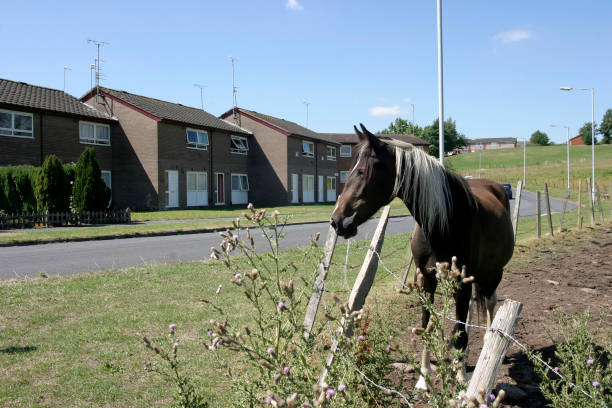 The edges of an English Council Housing area