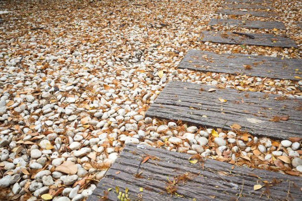 Wooden step walkway on rock. Abstract and outdoor background. With dark vignette. Nature background. Concept of looking forward and walk away.