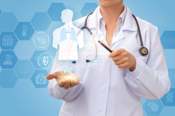 istock The doctor shows internal organs . 681906560