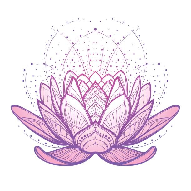 illustrations, cliparts, dessins animés et icônes de fleur de lotus. dessin linéaire stylisé complexe d'isolement sur le fond blanc. - nirvana