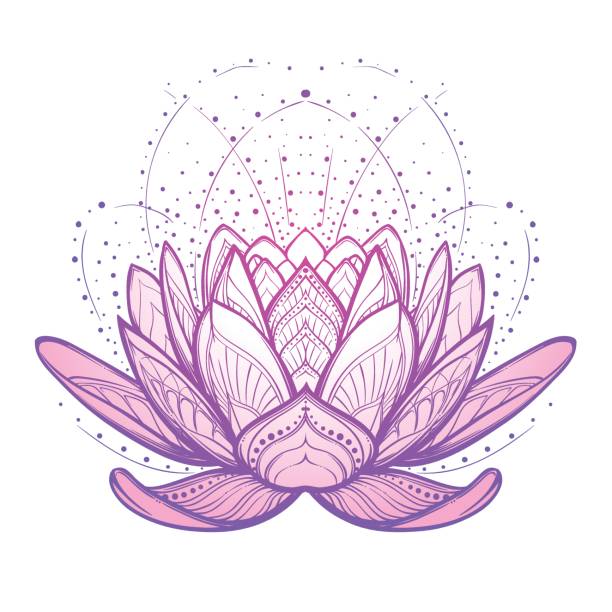 illustrazioni stock, clip art, cartoni animati e icone di tendenza di fiore di loto. intricato disegno lineare stilizzato isolato su sfondo bianco. - lotus water lily lily pink