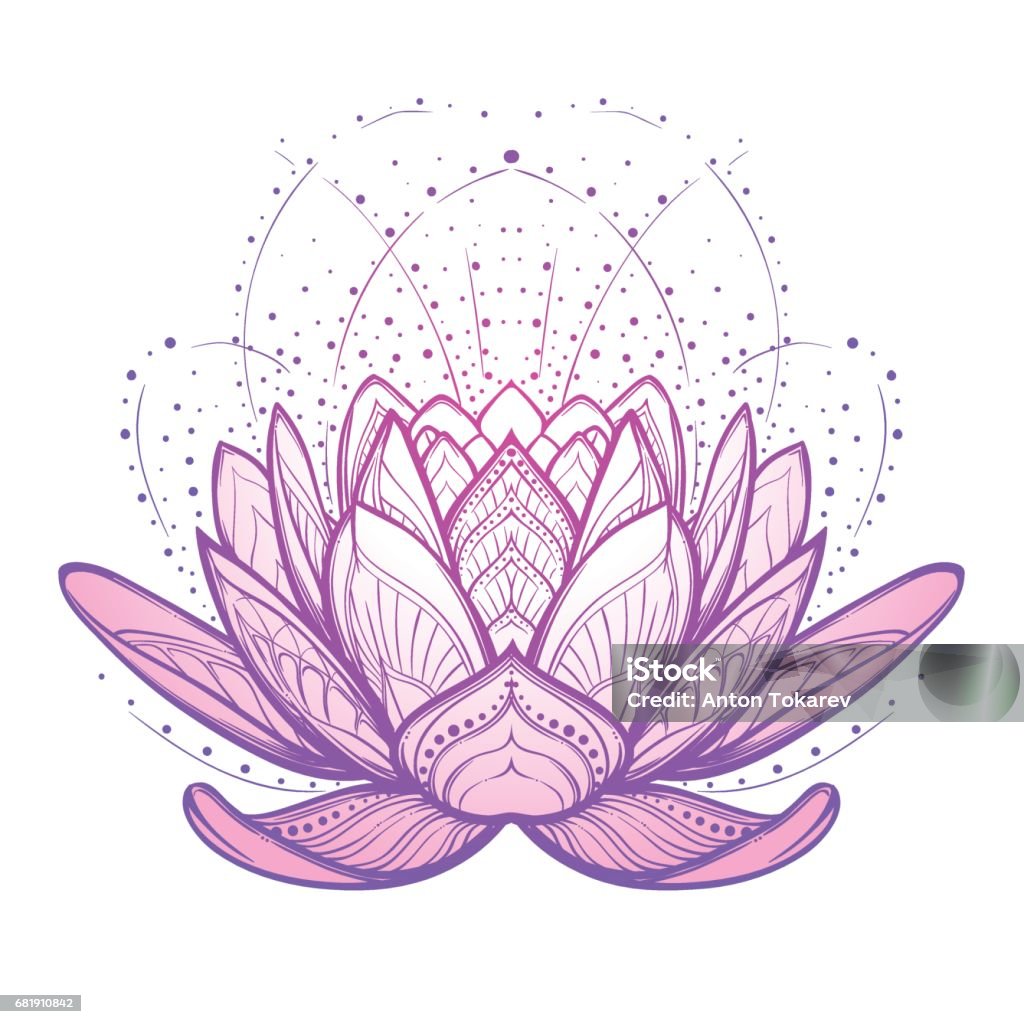 Lotus Flower Intricate Stylized Linear Drawing Isolated On White ...