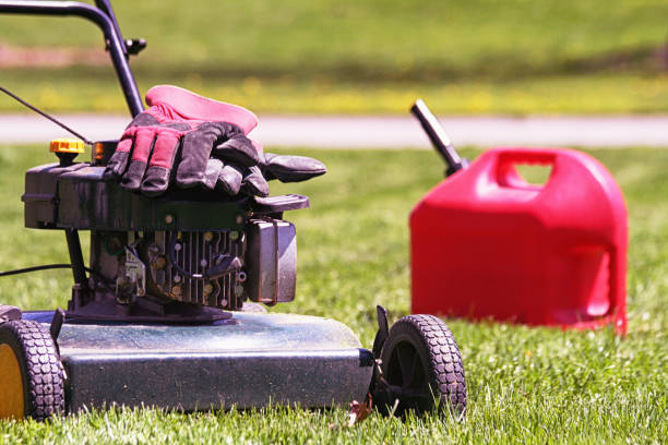 Lawn Mower, Gardening Gloves and Gasoline Can Container